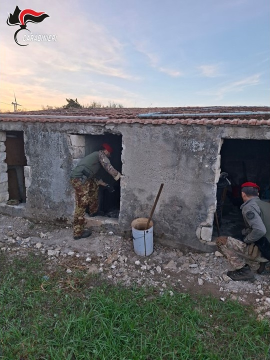 Maxi operazione: 7 arresti per 12 assalti. C’è anche postamat di San Giacomo