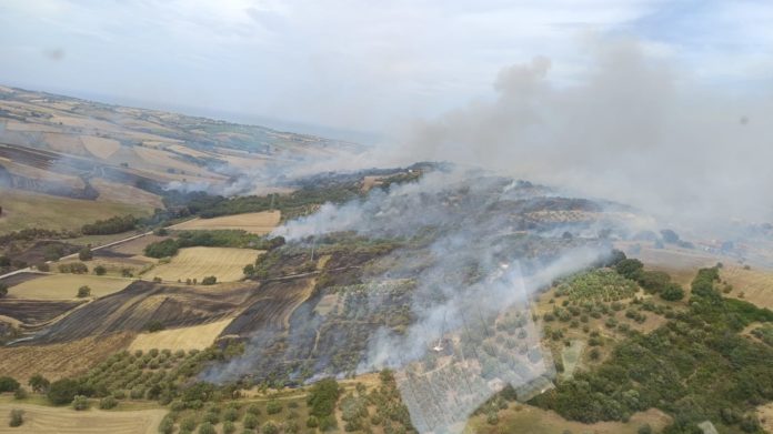 Incendi nel Basso Molise, alta mobilitazione e sospetti sul dolo