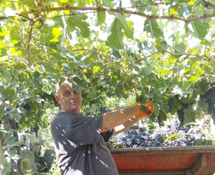 Vignaioli Cantina San Zenone: «Il clima cambia, ma la terra non si arrende»