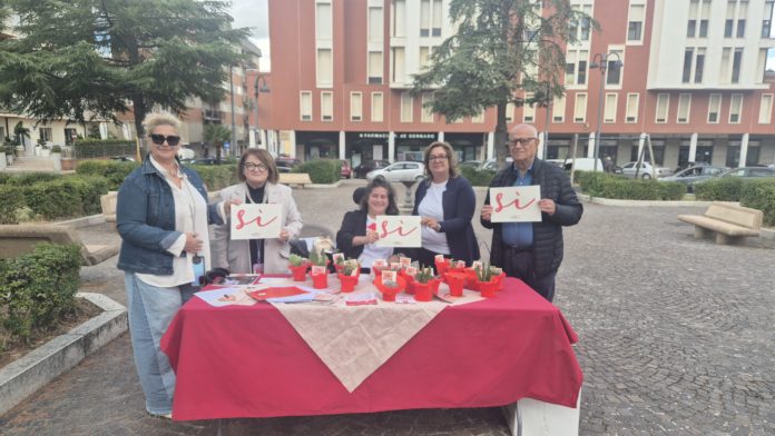 Giornata Nazionale del Sì, Aido Molise in piazza per promuovere la donazione