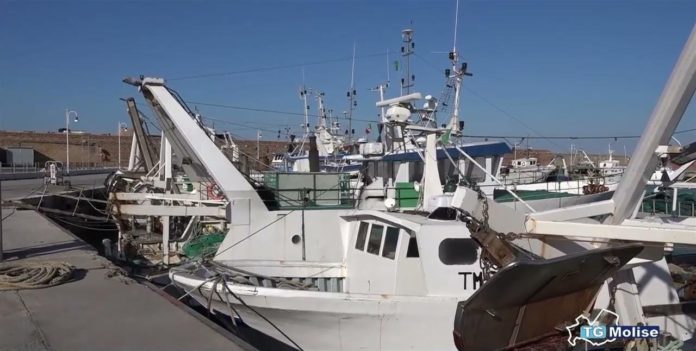 Caro gasolio: anche la marineria di Termoli proclama lo stato di agitazione