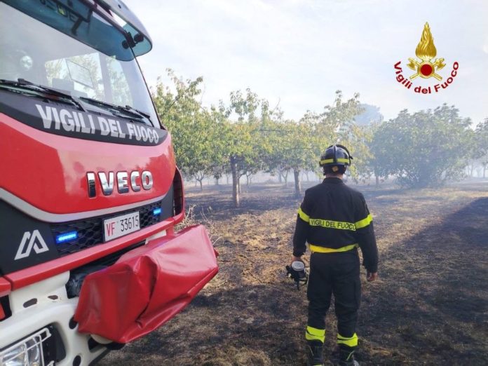 Contrada Polese Campobasso, rogo vicino alle case: in fiamme rimessa e oliveto