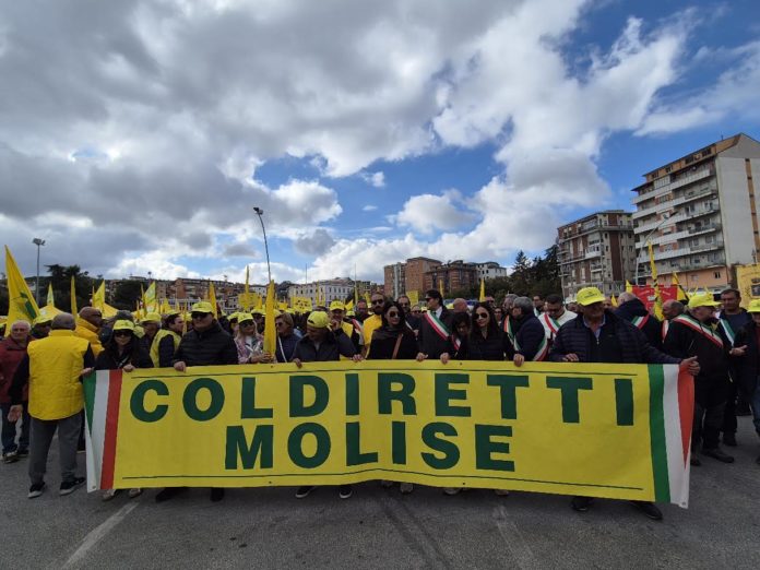 Coldiretti in piazza. Chiesti interventi strutturali per l’agricoltura