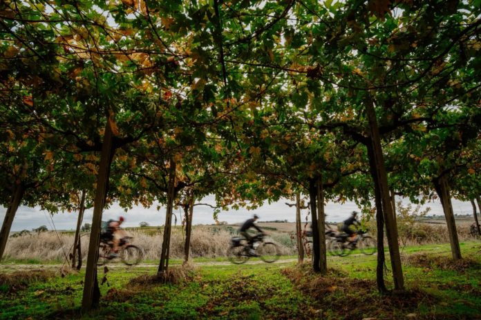 Il “Molise Trail” arriva a Torella del Sannio