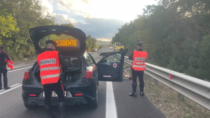 Bifernina, camion sbanda e perde carico di legna: ferito un motociclista