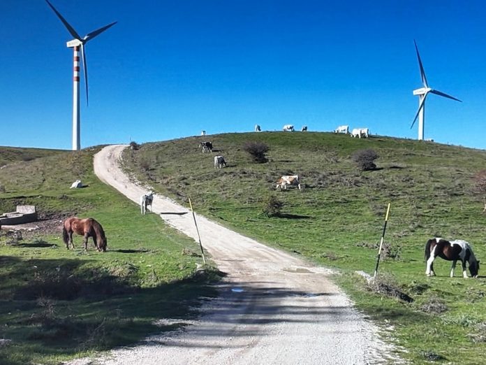 Legambiente, Campobasso e Isernia tra le città meno green d’Italia