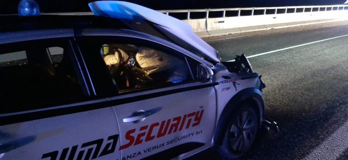 Bifernina, auto contro cinghiali: danni alla vettura, illeso il conducente