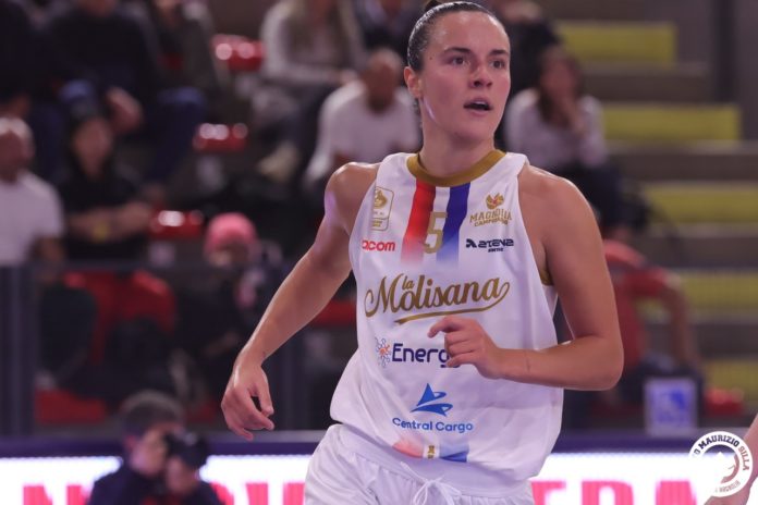 Basket, Eurocup, Molisana parte l’evventura europea. Sfida al Celje