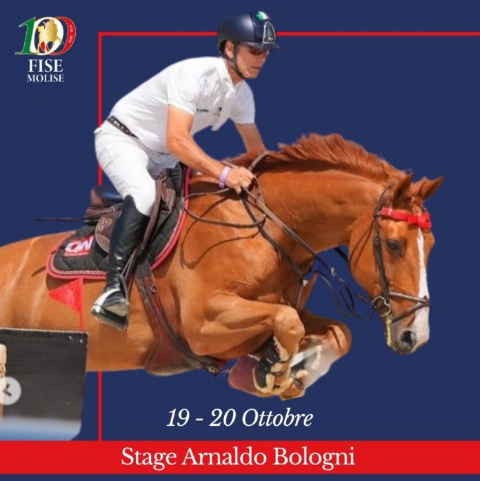 Equitazione, il campione olimpico Bologni torna in Molise per uno stage