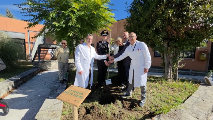Al Santissimo Rosario di Venafro ‘Un albero per la salute’